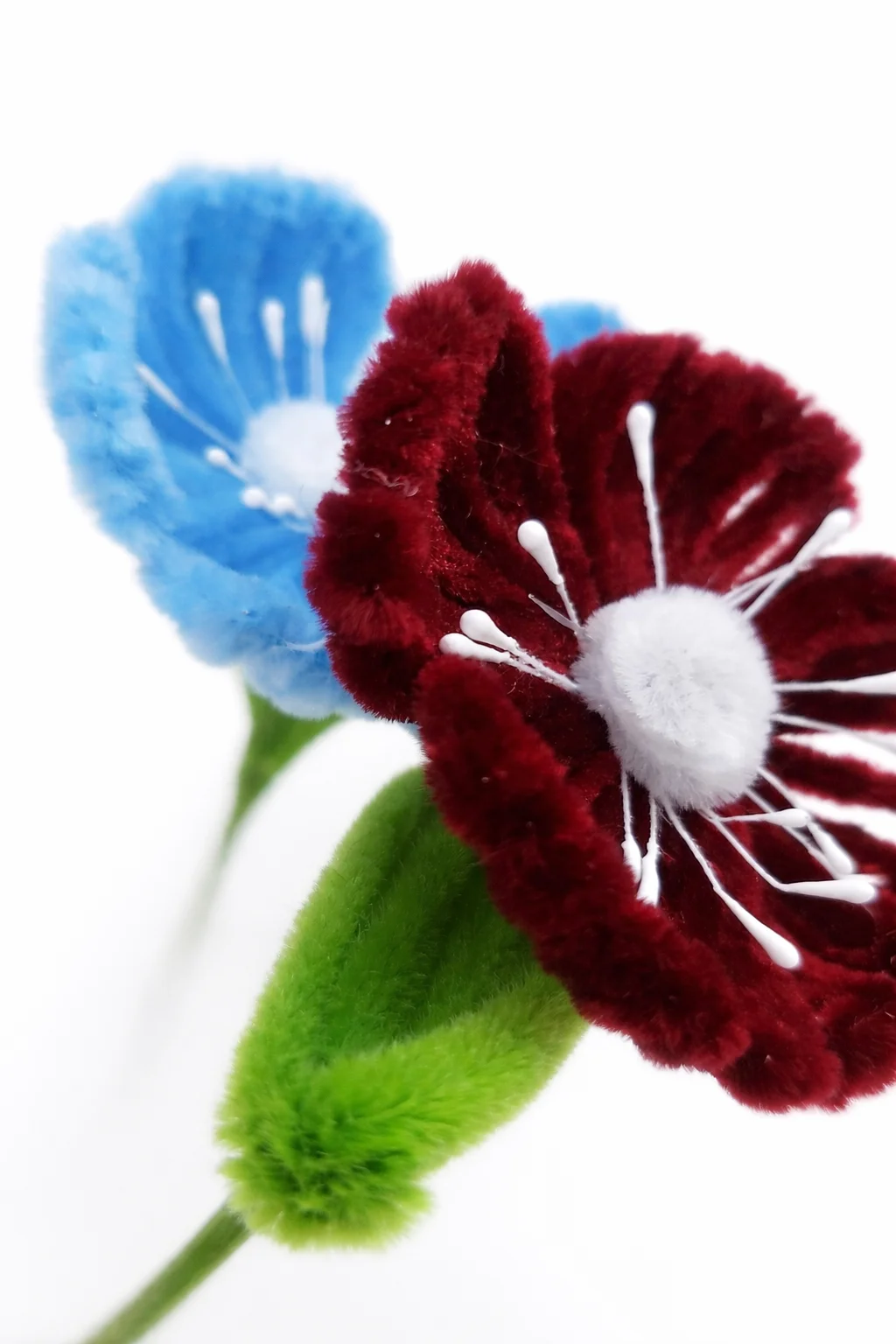 hoa anh túc kẽm nhung