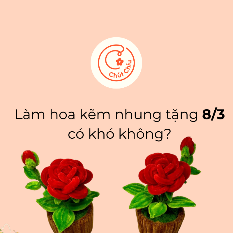 làm hoa kẽm nhung tặng 8/3 có khó không?