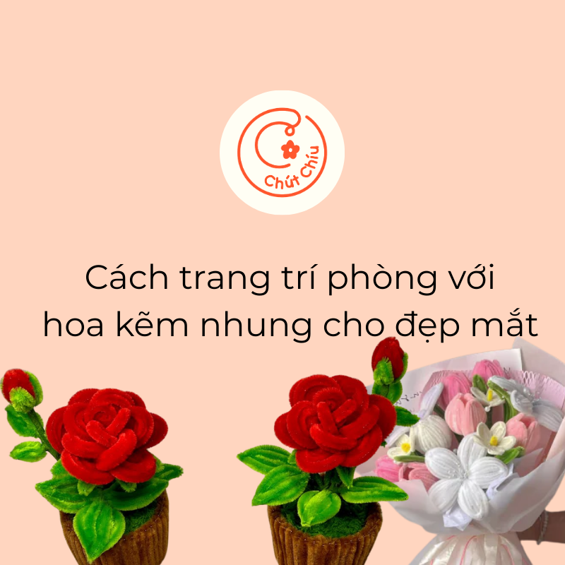Cách trang trí phòng với hoa kẽm nhung cho đẹp mắt