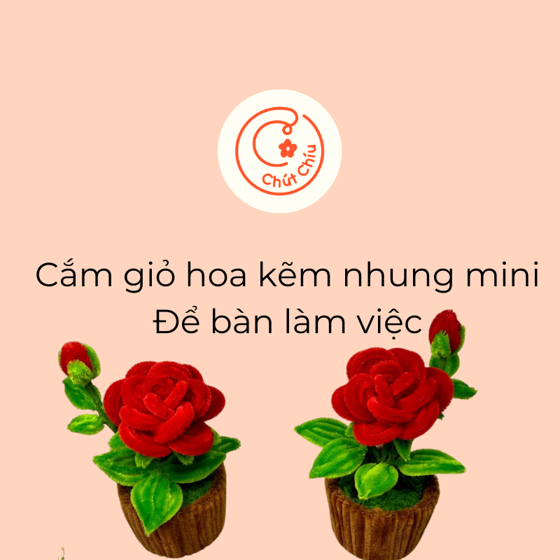 Cắm giỏ hoa kẽm nhung mini để bàn làm việc