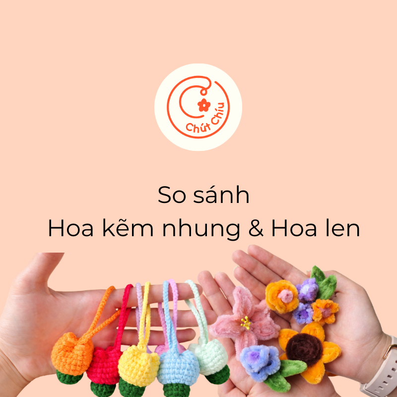 So sánh hoa kẽm nhung và hoa len