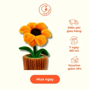 Chậu Hướng Dương Kẽm Nhung Mini Handmade