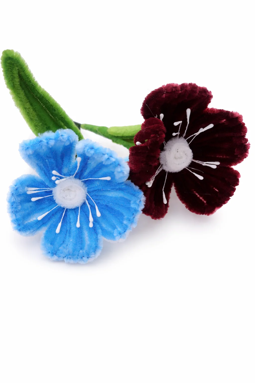 hoa anh túc kẽm nhung